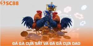 da-ga-cua-sat-va-da-ga-cua-dao