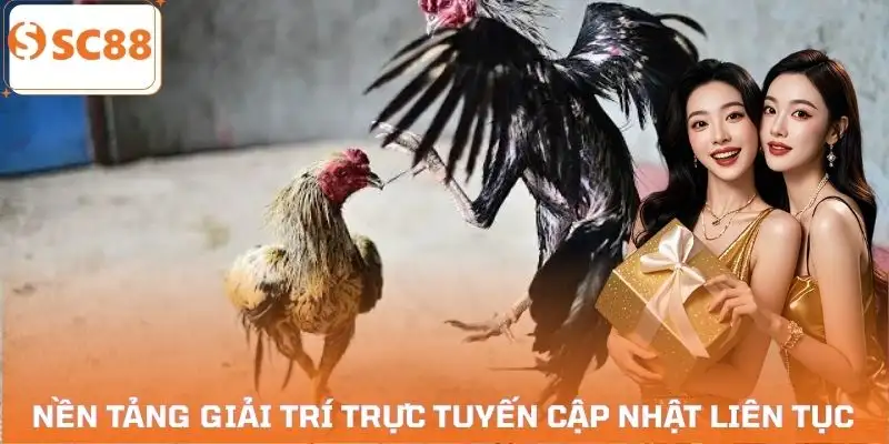 da-ga-cua-sat-va-da-ga-cua-dao-duoc-cap-nhat-tren-nen-tang-giai-tri