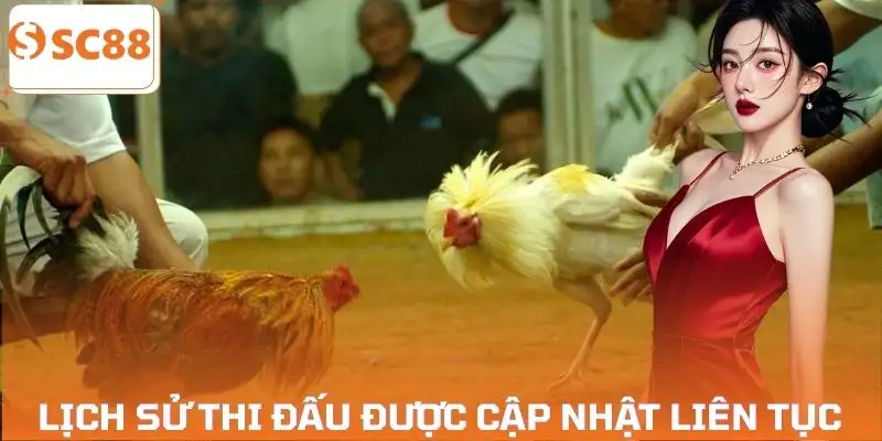 da-ga-cua-sat-va-da-ga-cua-dao-xem-lich-su-thi-dau