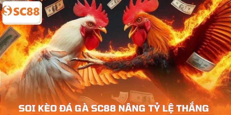 da-ga-sc88-bi-quyet-soi-keo