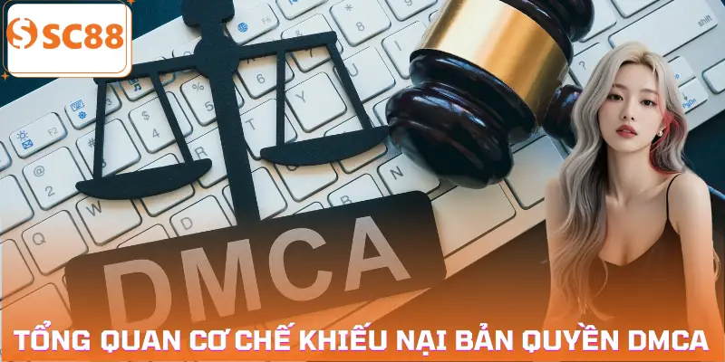 khieu-nai-ban-quyen-dmca-gioi-thieu
