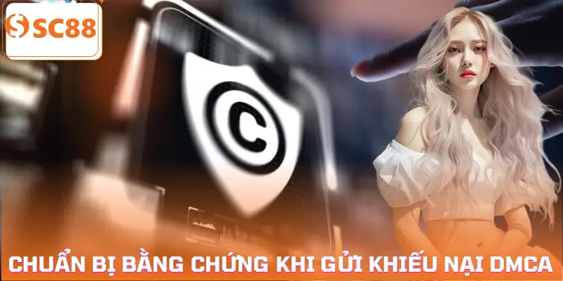 khieu-nai-ban-quyen-dmca-su-chuan-bi-bang-chung