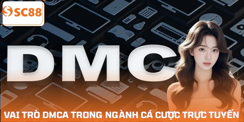 khieu-nai-ban-quyen-dmca-vai-tro